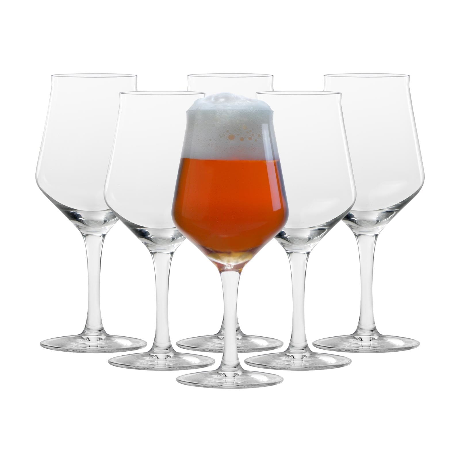 St&ouml;lzle Lausitz Biergl&auml;ser Craft Beer 0,3 l 6er Set 