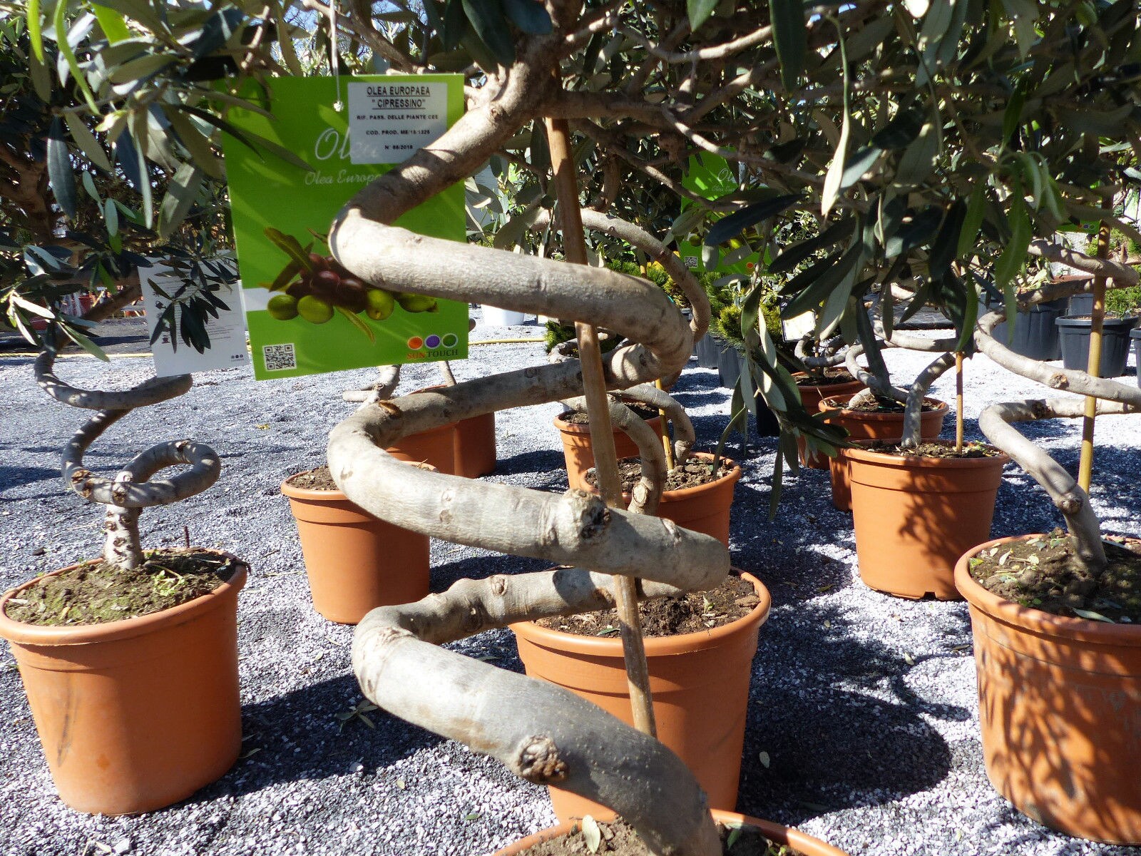 nobilia arbeitsplatte taxus nobilia Küche - Arbeitsplatten Muster - Marmor Schwarz Nachbildung main image 1