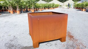 Cortenstahl Pflanzkübel 70x70x60 Rostkübel Rost Stahl Kübel Blumenkübel XXL 