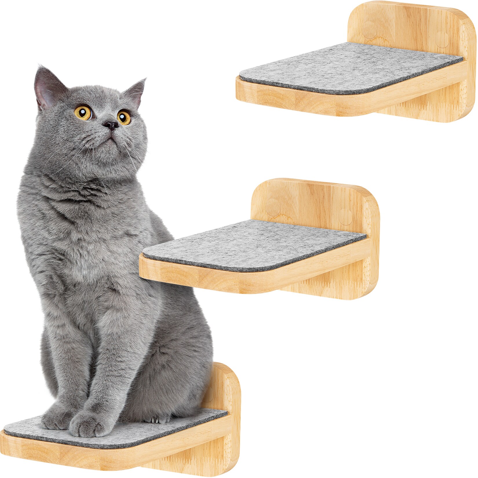 HAPPYPET Katzentreppen 3er-Set für Wandmontage - Nachhaltiges Hartholz, Designer Kletterwand Katzen, Katzentreppe mit Filzbezug, Katzenleiter, Katzenwand zum Klettern, Catwalk Natur 3x Stufen M