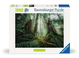 Ravensburger Spiel Erwachsenenpuzzle 1000 Teile - Faszinierender Wald 