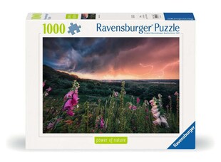 Ravensburger Spiel Erwachsenenpuzzle 1000 Teile - Ein Sturm zieht auf 
