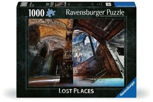 Ravensburger Spiel Erwachsenenpuzzle 1000 Teile - Alpenhaus Graffito Beelitzer Heilstätten 