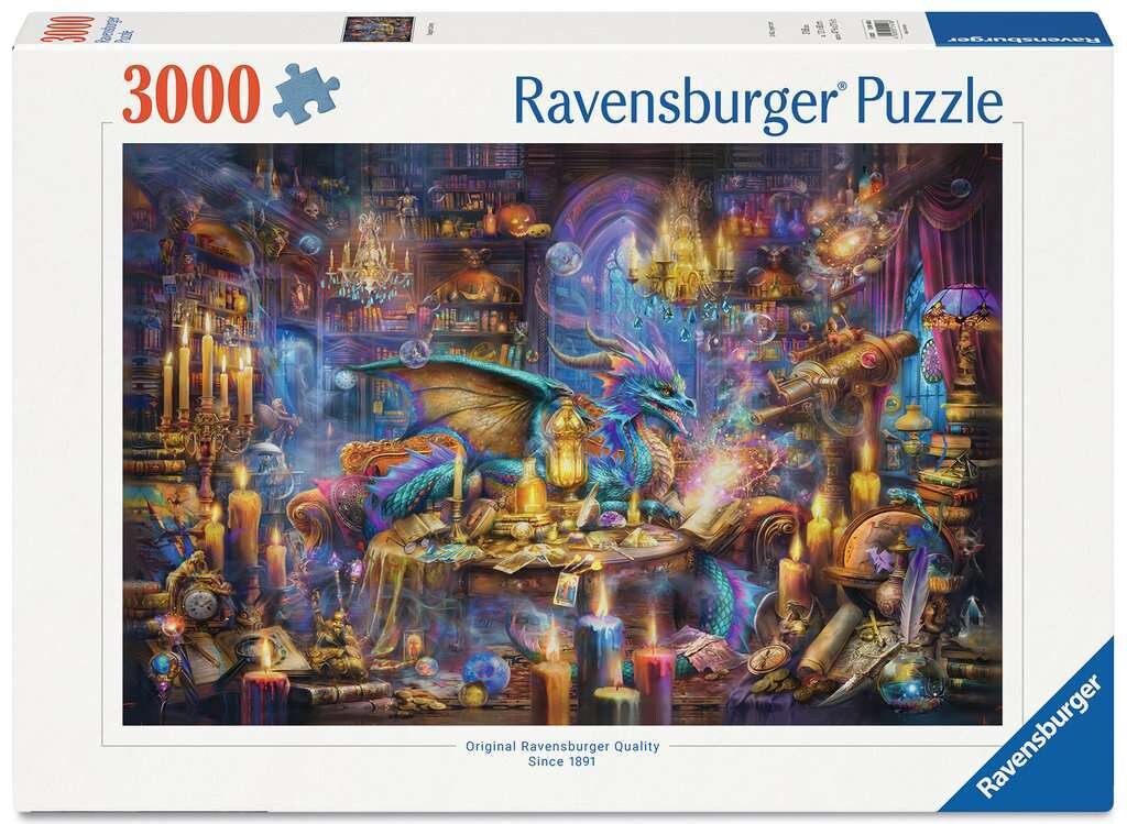 Spiel Drachenbibliothek