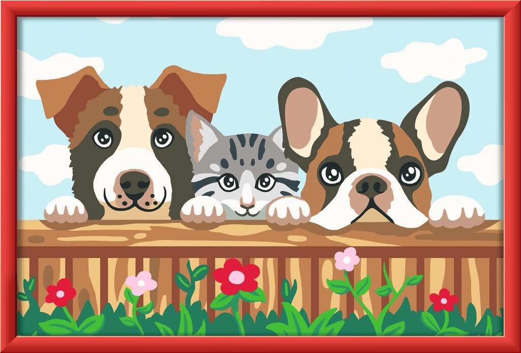 Spiel Hunde und Katze