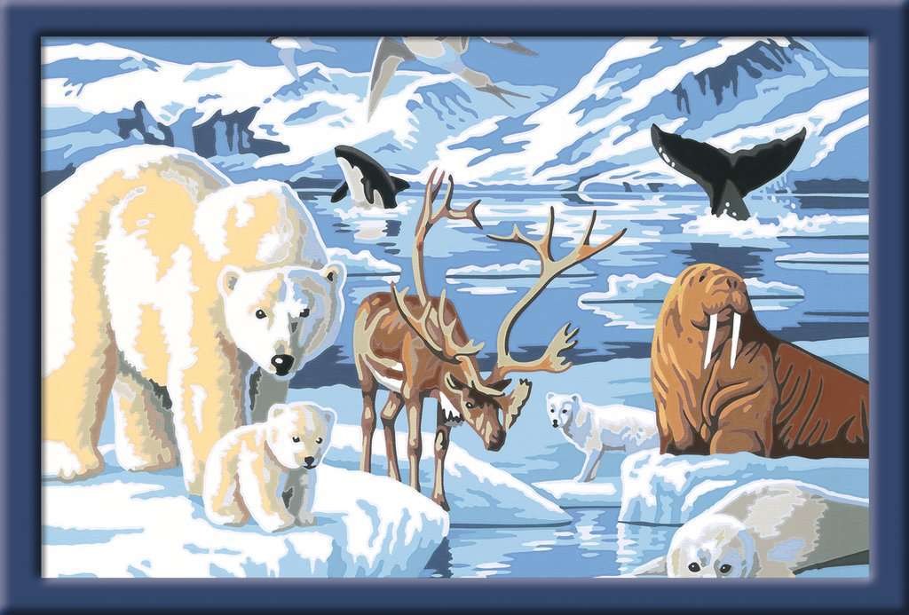 Ravensburger Spiel Tiere der Arktis 