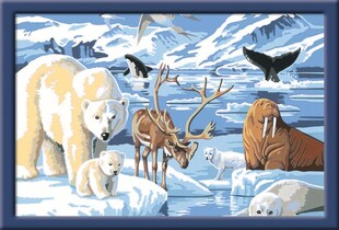 Ravensburger Spiel CreArt, Malen nach Zahlen Kinder - Tiere der Arktis 