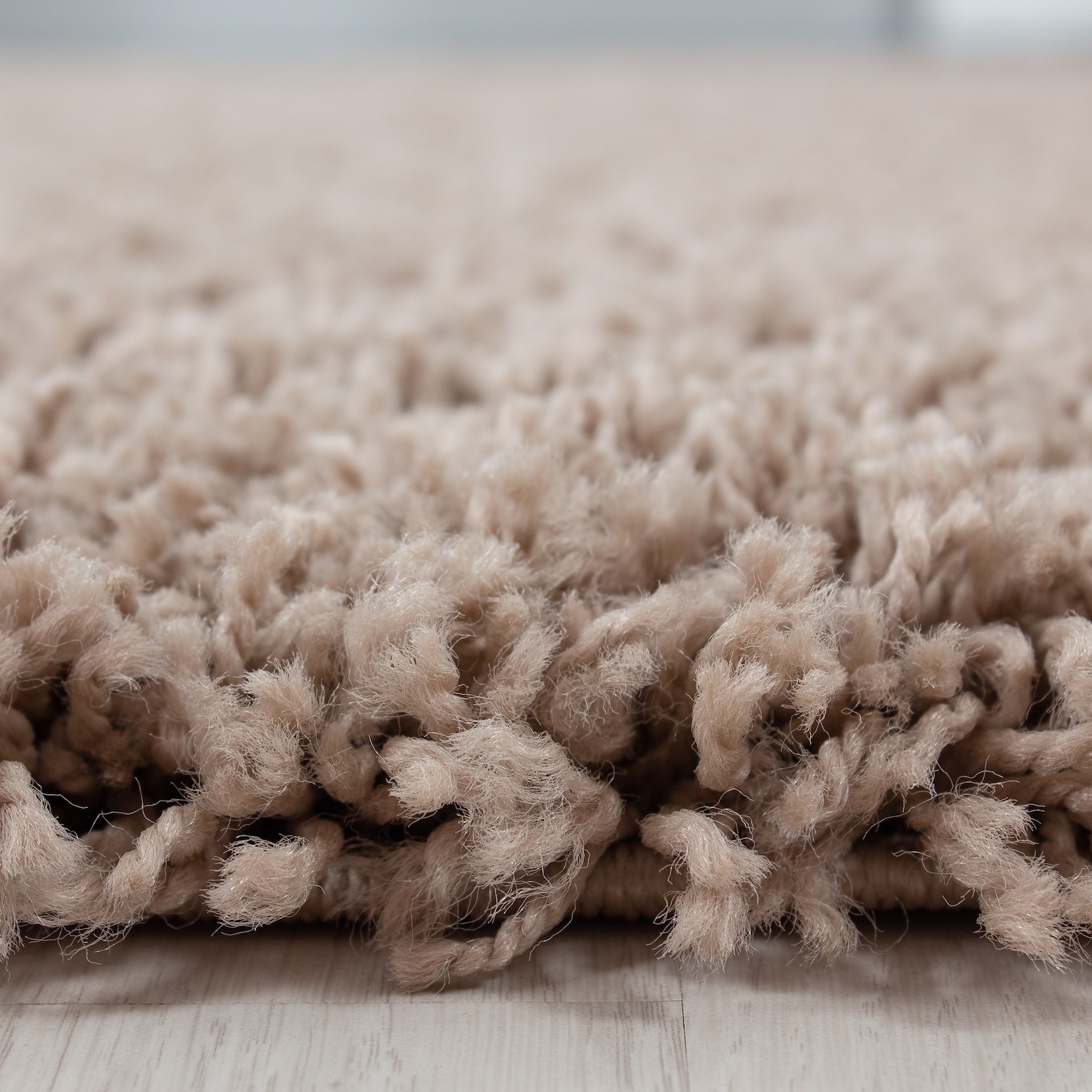 Teppich Hochflor RHEIN in Beige, einfarbig, 100 x 200 cm