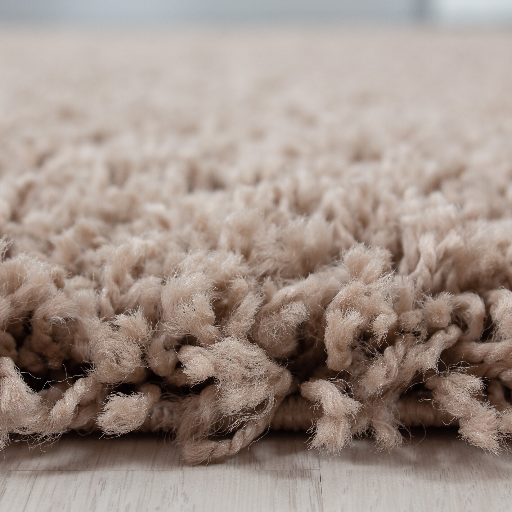 Teppich Hochflor RHEIN in Beige, einfarbig, 160 x 230 cm