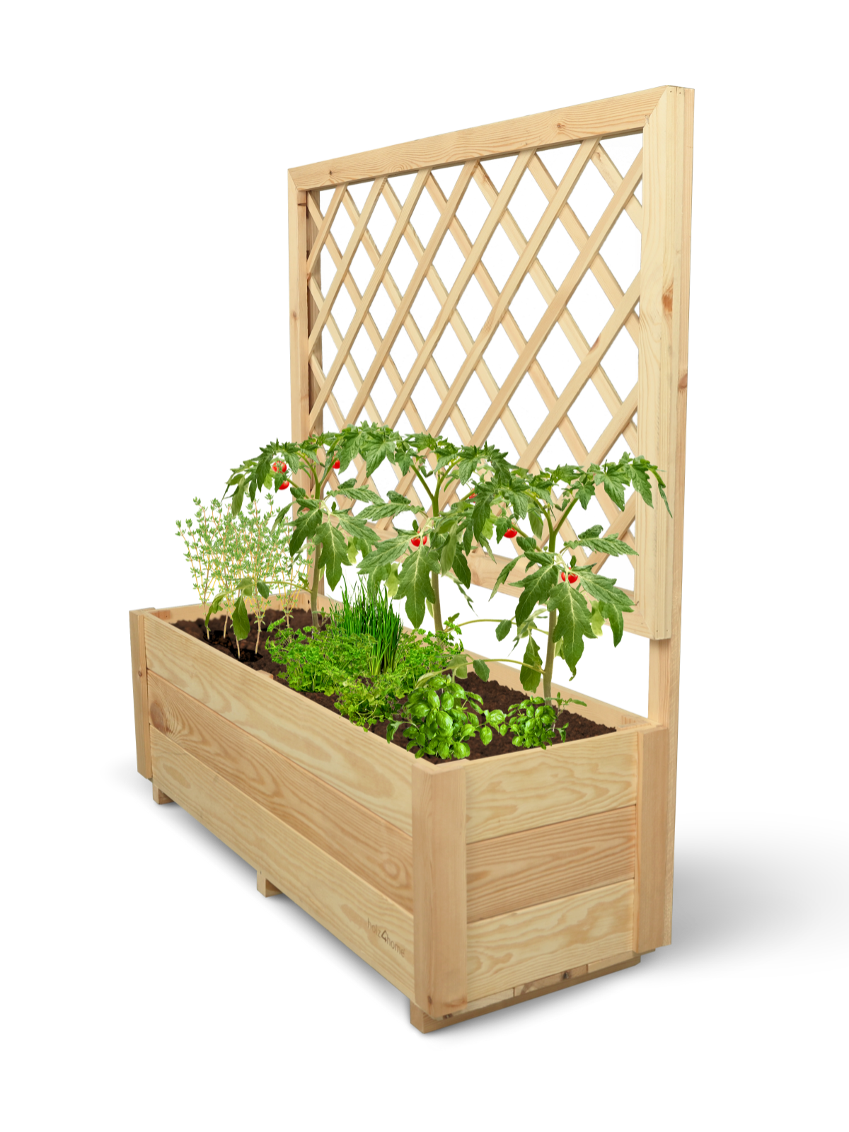 holz4home&reg; Pflanzkasten mit Rankgitter M | M 