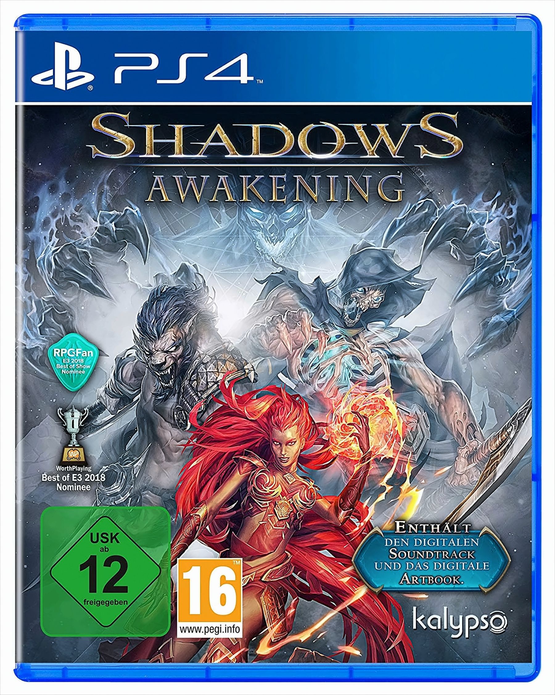 Shadows: Awakening (PS4) 
