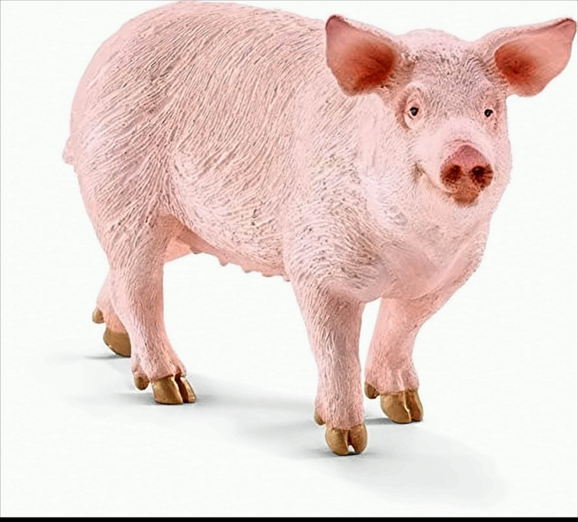 schleich 17071 Schwein Spielfigur 