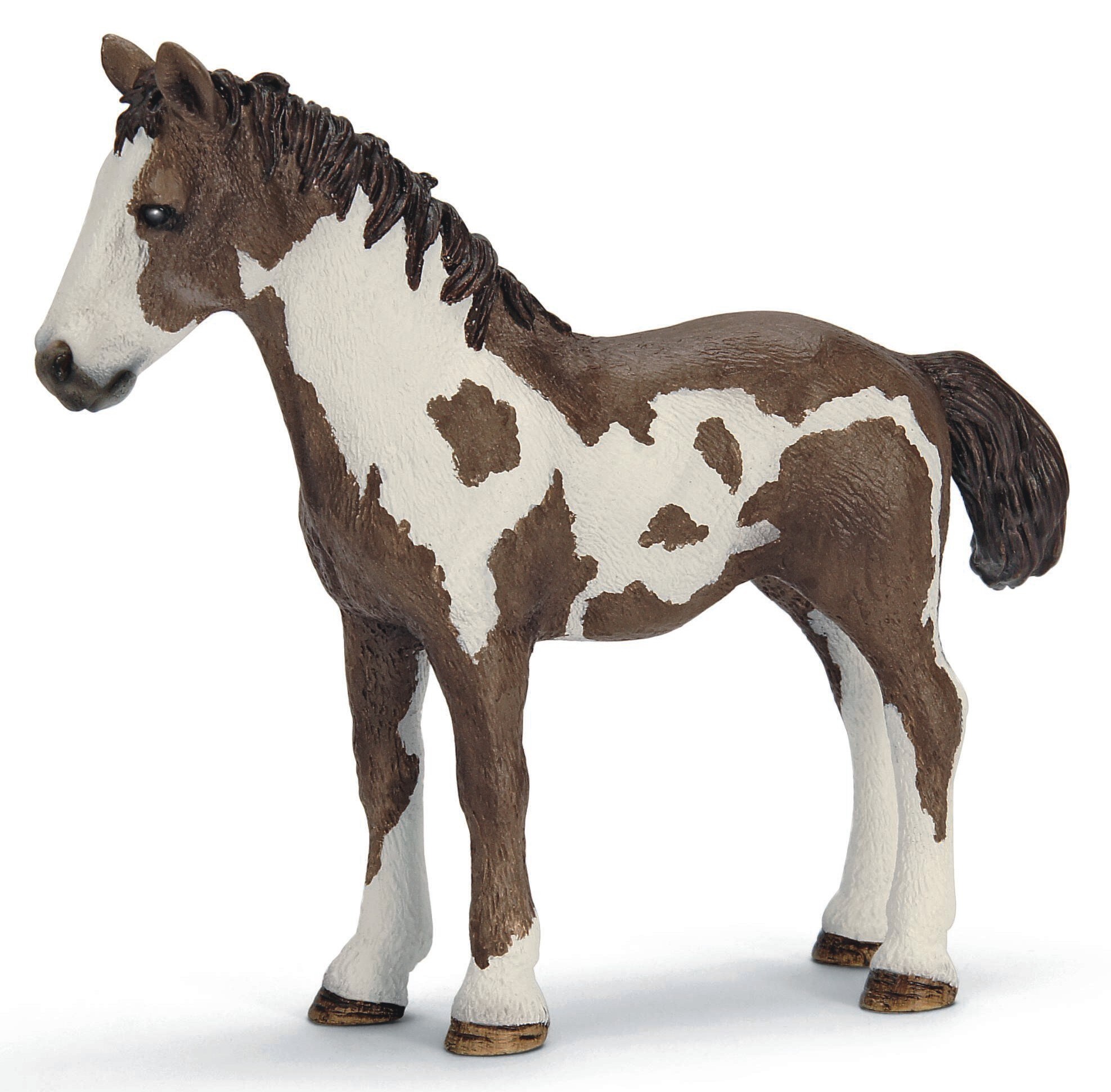 Schleich - 13695 - Farm Life - Pinto J&auml;hrling 