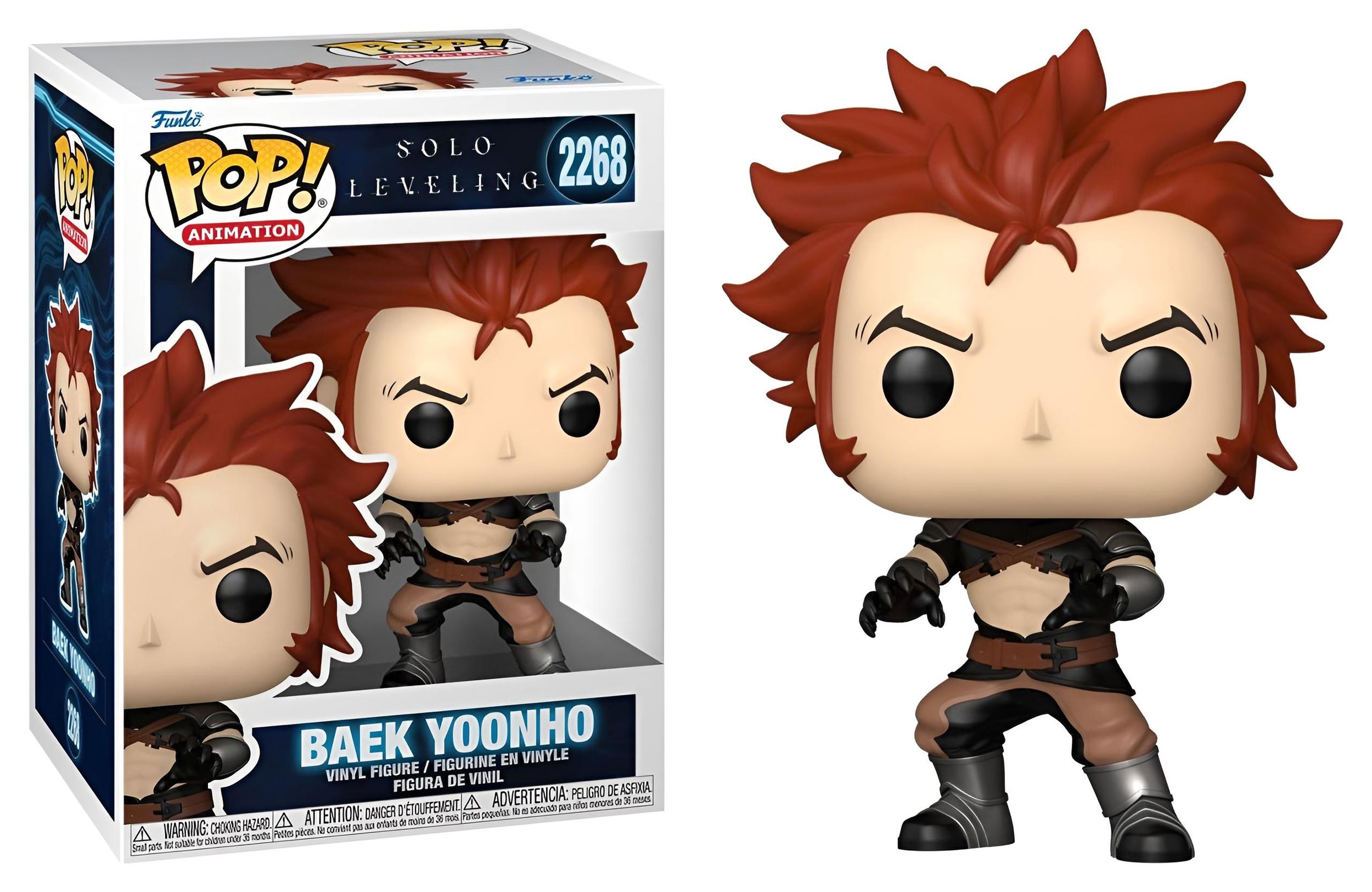 POP - Solo Leveling - Baek Yoonho 