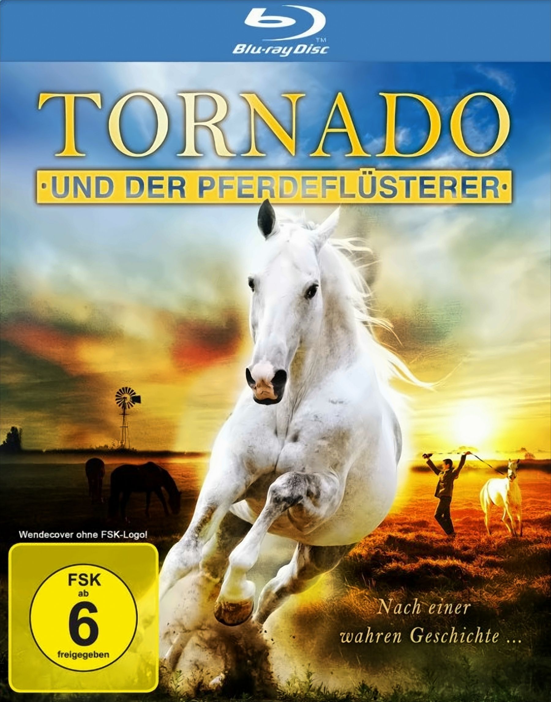 Tornado und der Pferdefl&uuml;sterer 