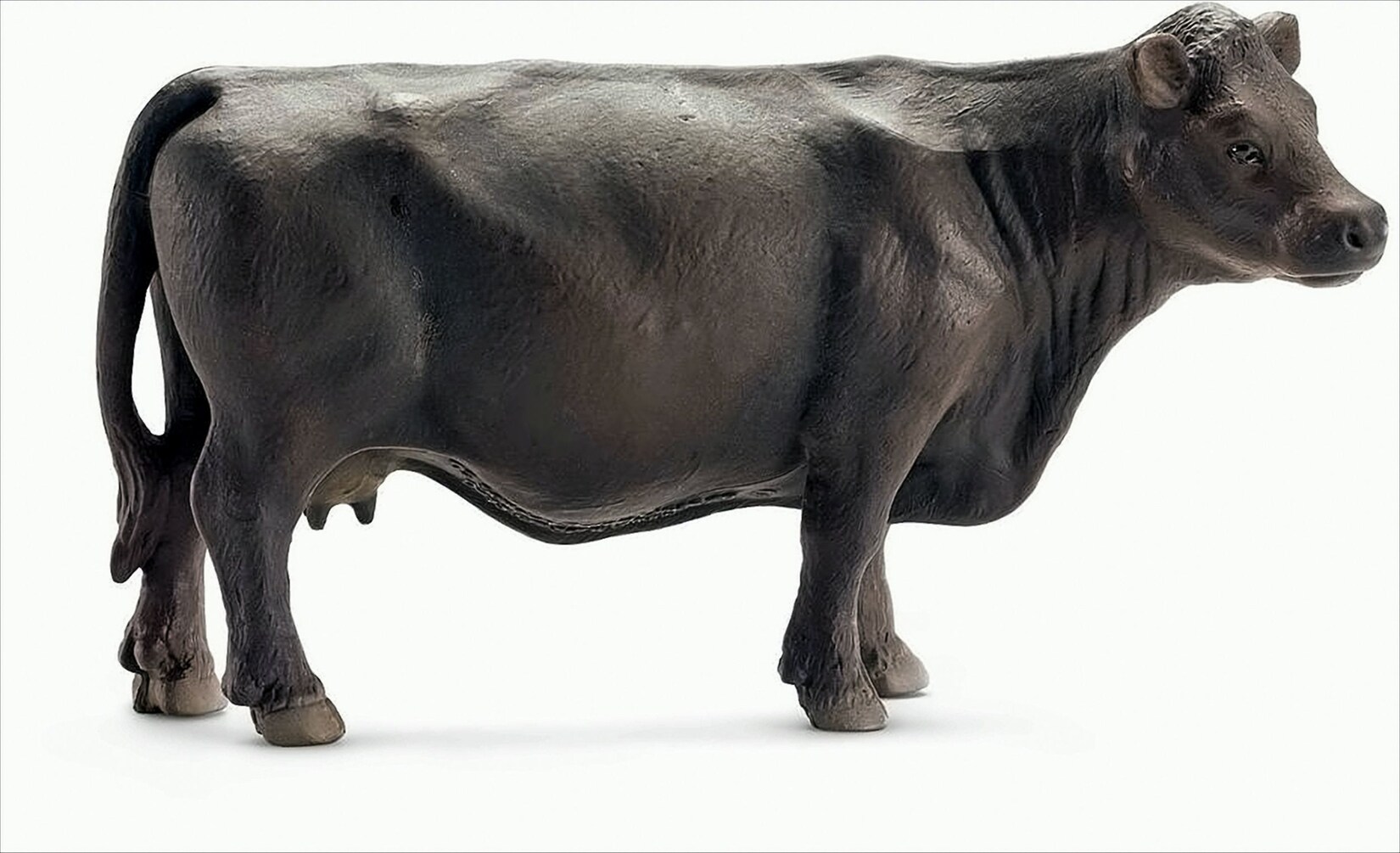13767 - Angus Kuh, Tier Spielfigur, schwarz