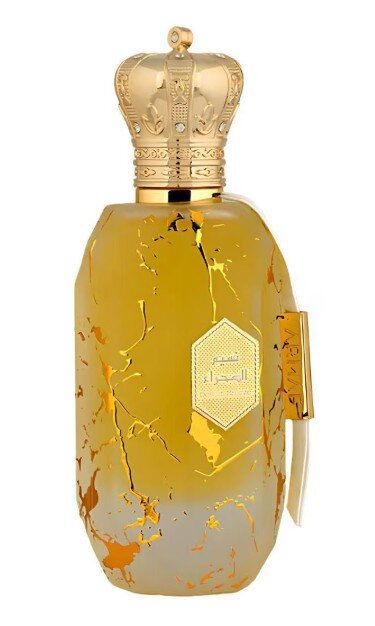 Armaf &Eacute;ter Desert Breeze Eau de Parfum 100 ml 
