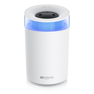 Brandson Aroma Diffuser und Ultraschall Luftbefeuchter 2,5 l, Stimmungslicht, 2 Dampfausgänge, inklusive 10 ml Aromaöl, für Wohn und Schlafzimmer, Yoga, Spa 