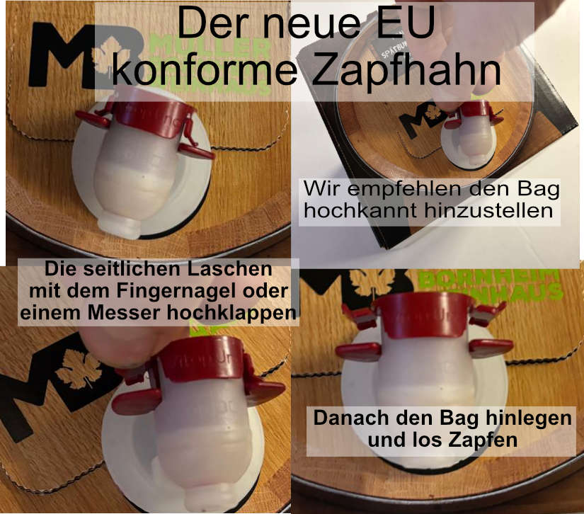 Weinhaus M&uuml;ller Bornheim Pfalz M&uuml;ller Thurgau Wei&szlig;wein halbtrocken 11,5 % vol. 5 Liter Bag in Box 