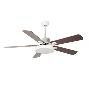 LED Deckenventilator, Fernbedienung, 5 Stufen, CCT, D 130 cm 