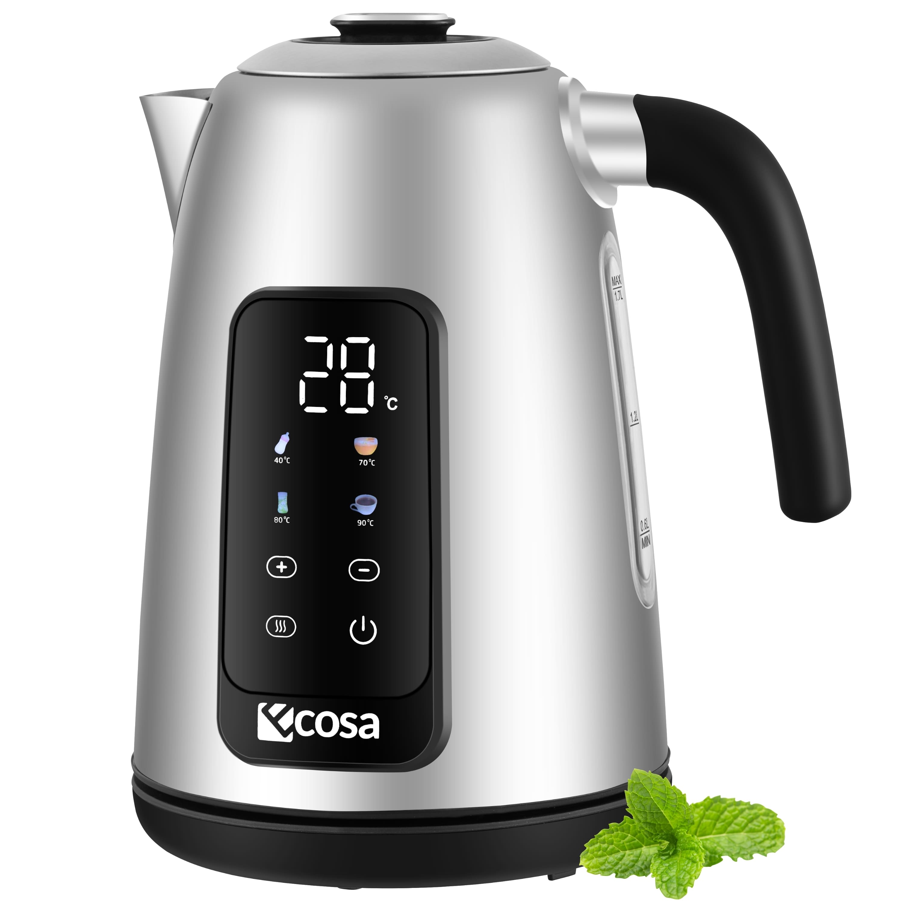 Ecosa Edelstahl Wasserkocher mit Temperatureinstellung 1,7L 2200W 