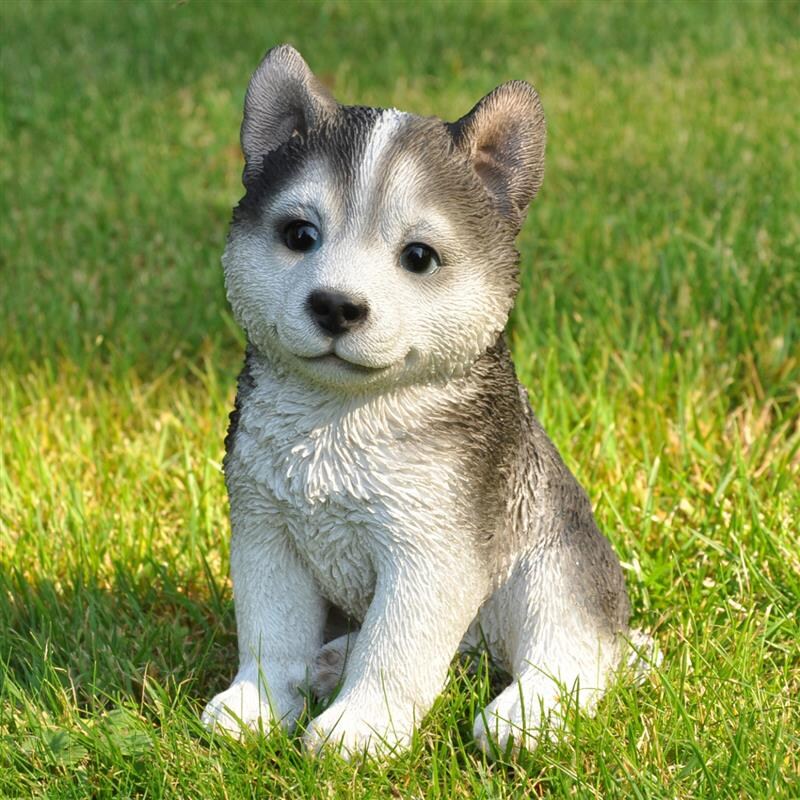 Dazikemo Dekofigur Gartenfigur Husky 17,5 x 10 x 12 cm