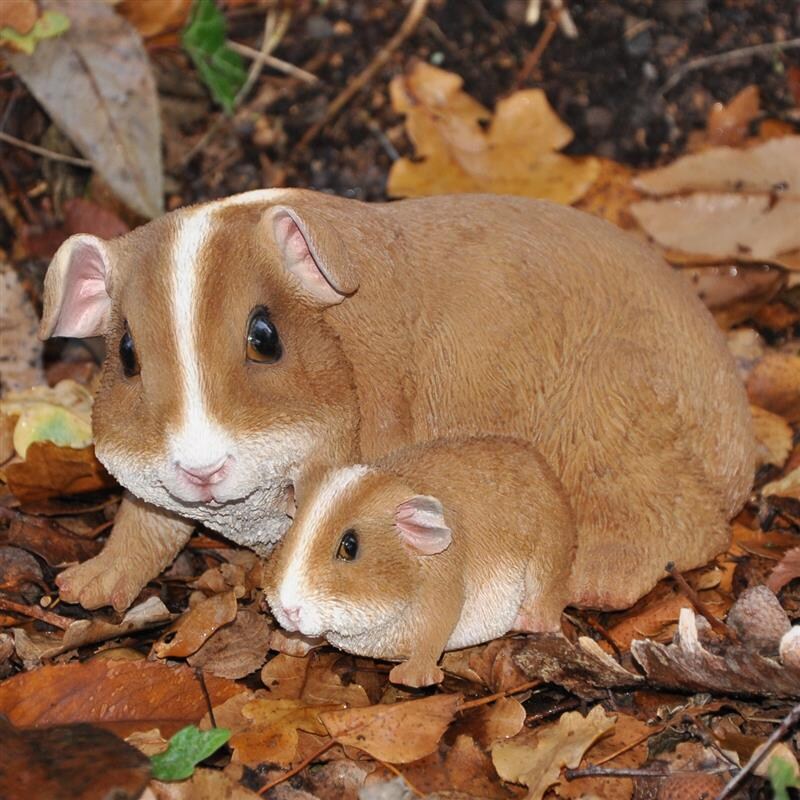 Dazikemo Meerschweinchen Mutter+Kind