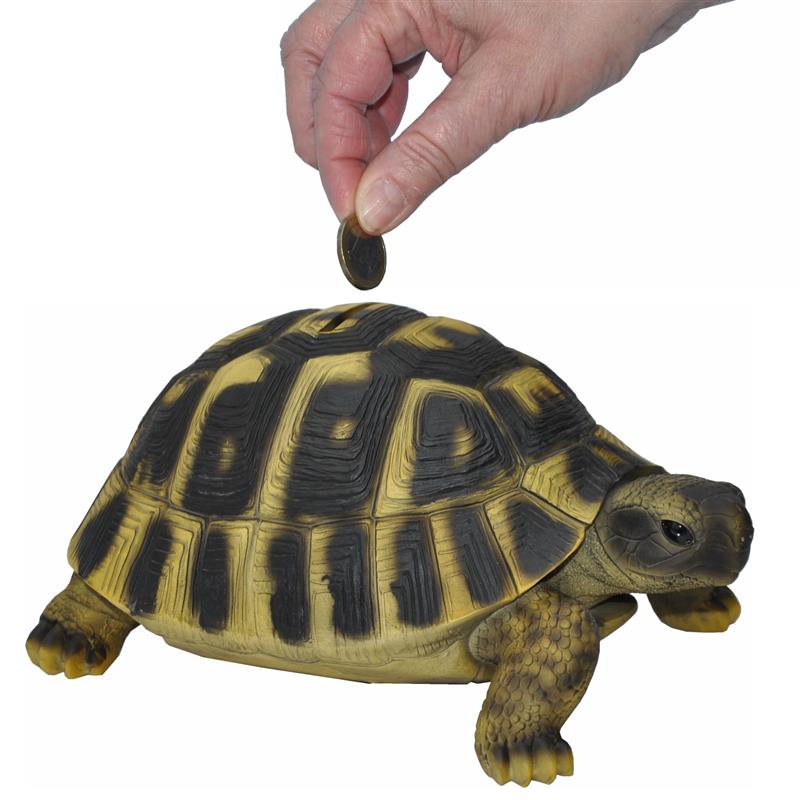 Dazikemo Spardose Sparschwein gro&szlig;e Schildkr&ouml;te 