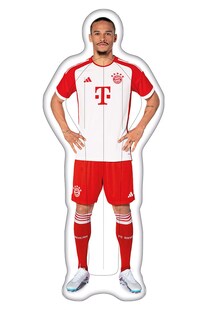 Wehncke Bayern München Luftmatratze Kane 