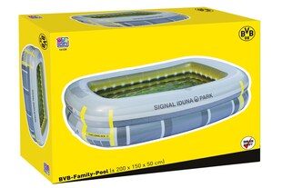 Wehncke BVB Family Pool 2 Ringe 