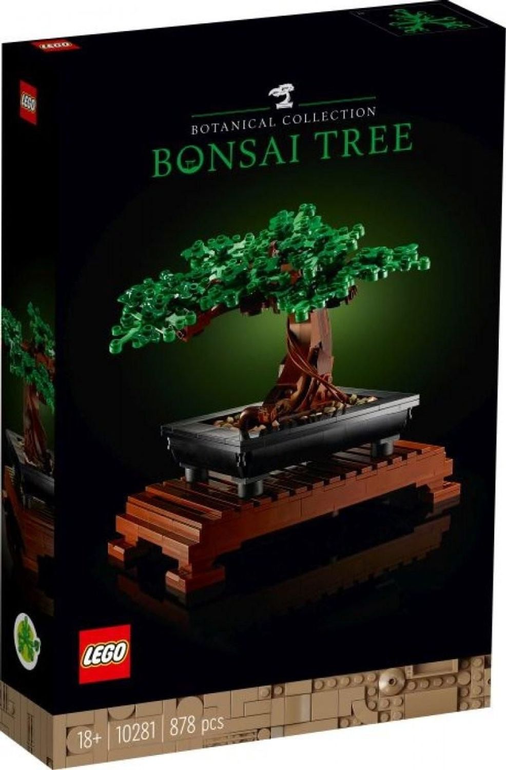 commiphora bonsai Commiphora cervifolia 10 Pieces Seeds – exotic-gardenkingdom.com main image 1