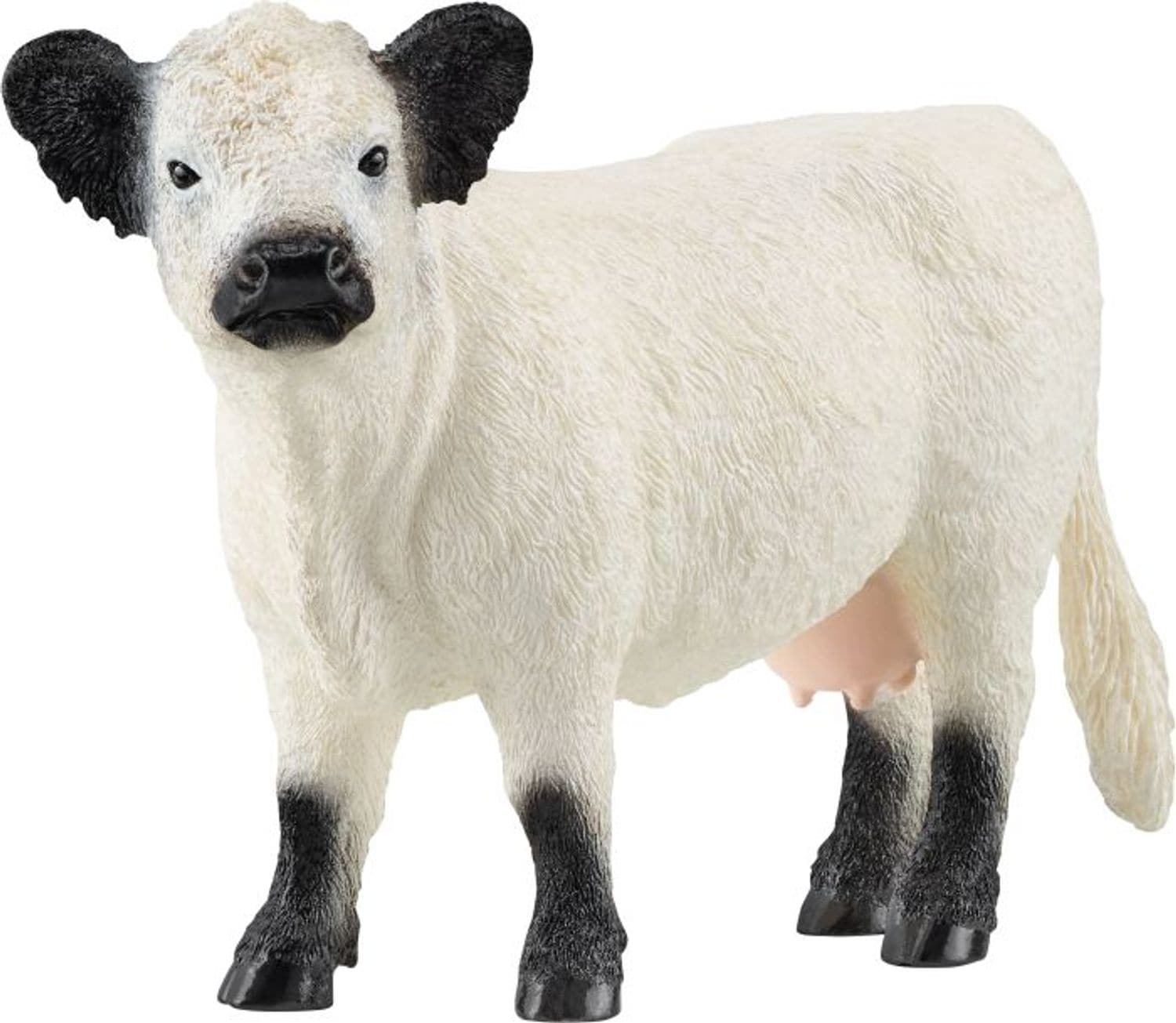 Schleich Galloway Rind 