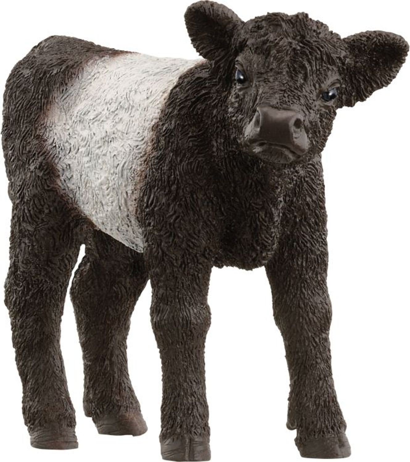 Schleich Galloway Kalb 