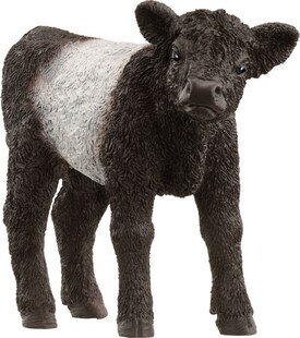 Schleich Galloway Kalb 