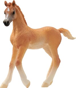 Schleich Araber Fohlen 