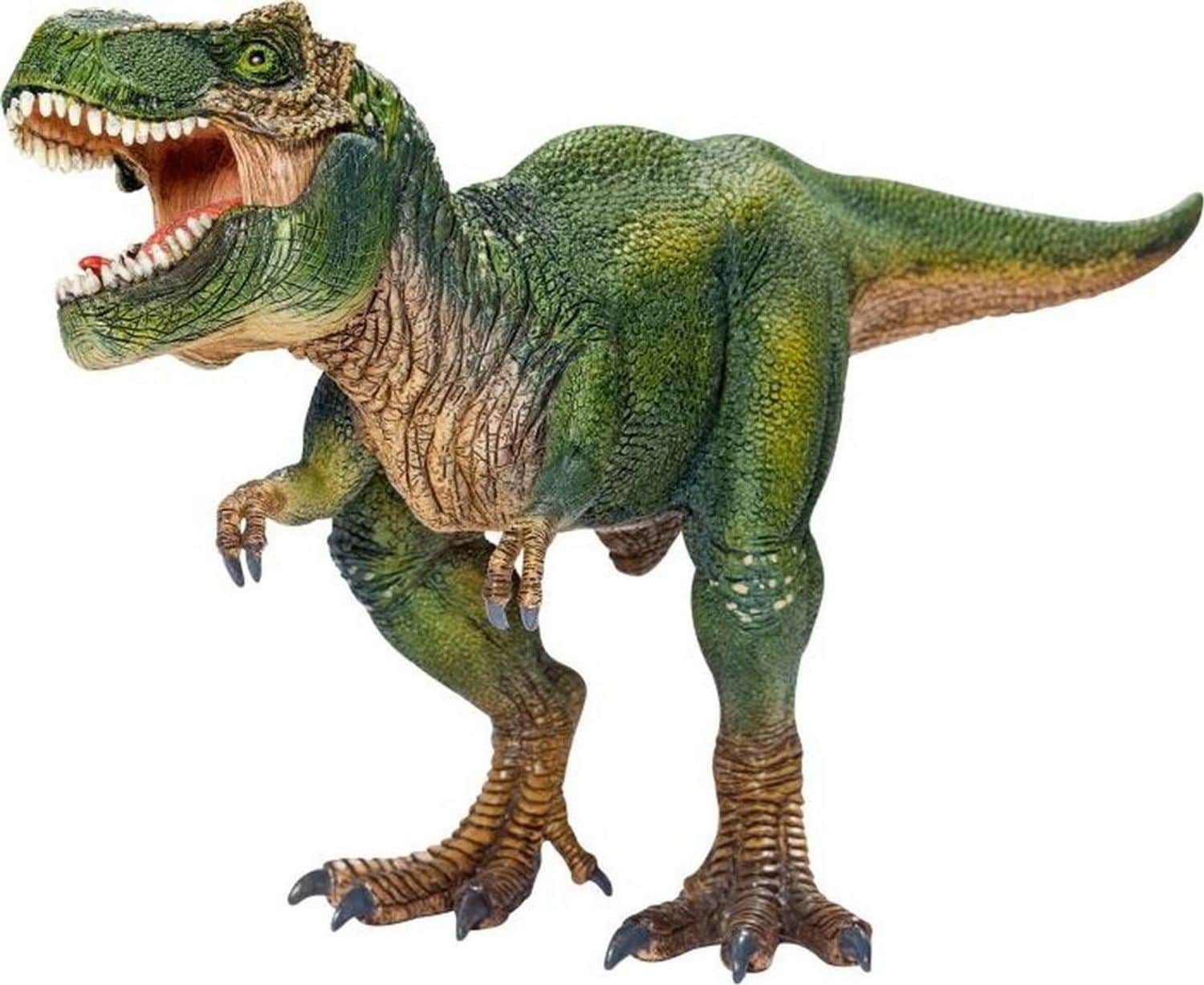 Schleich Tyrannosaurus Rex 
