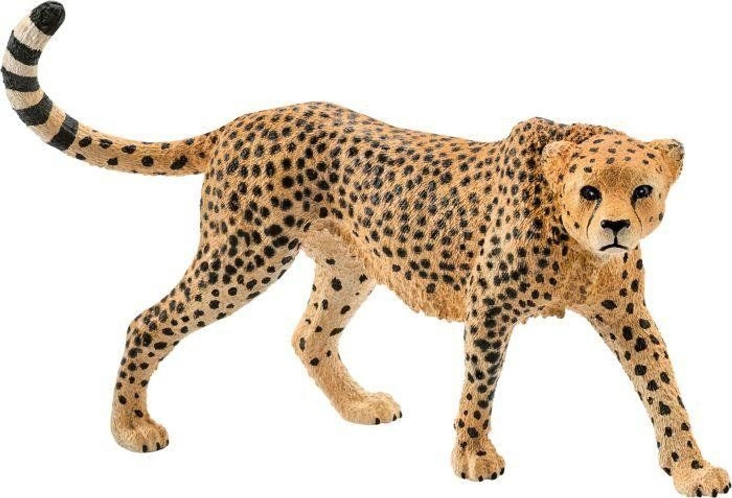Schleich Gepardin 