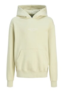 Jack & Jones Junior Kapuzenpullover VESTERBRO Hoodie 