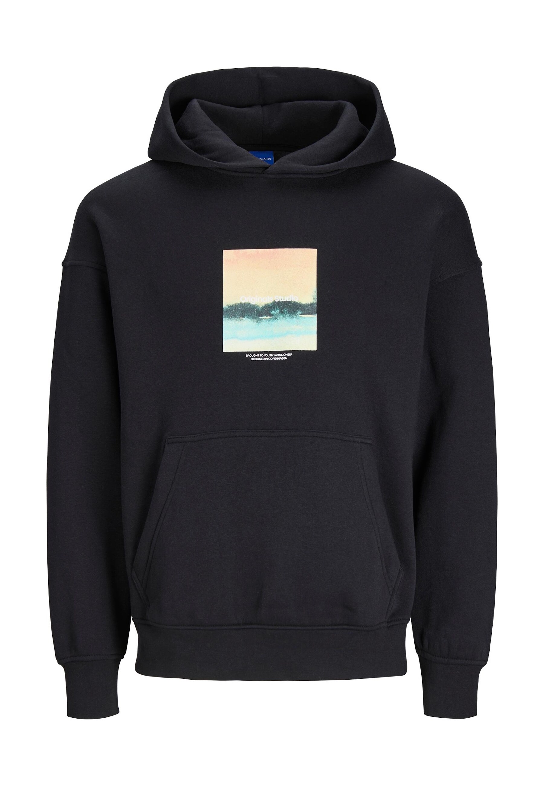 Jack & Jones Hoodie Kapuzensweatshirt 