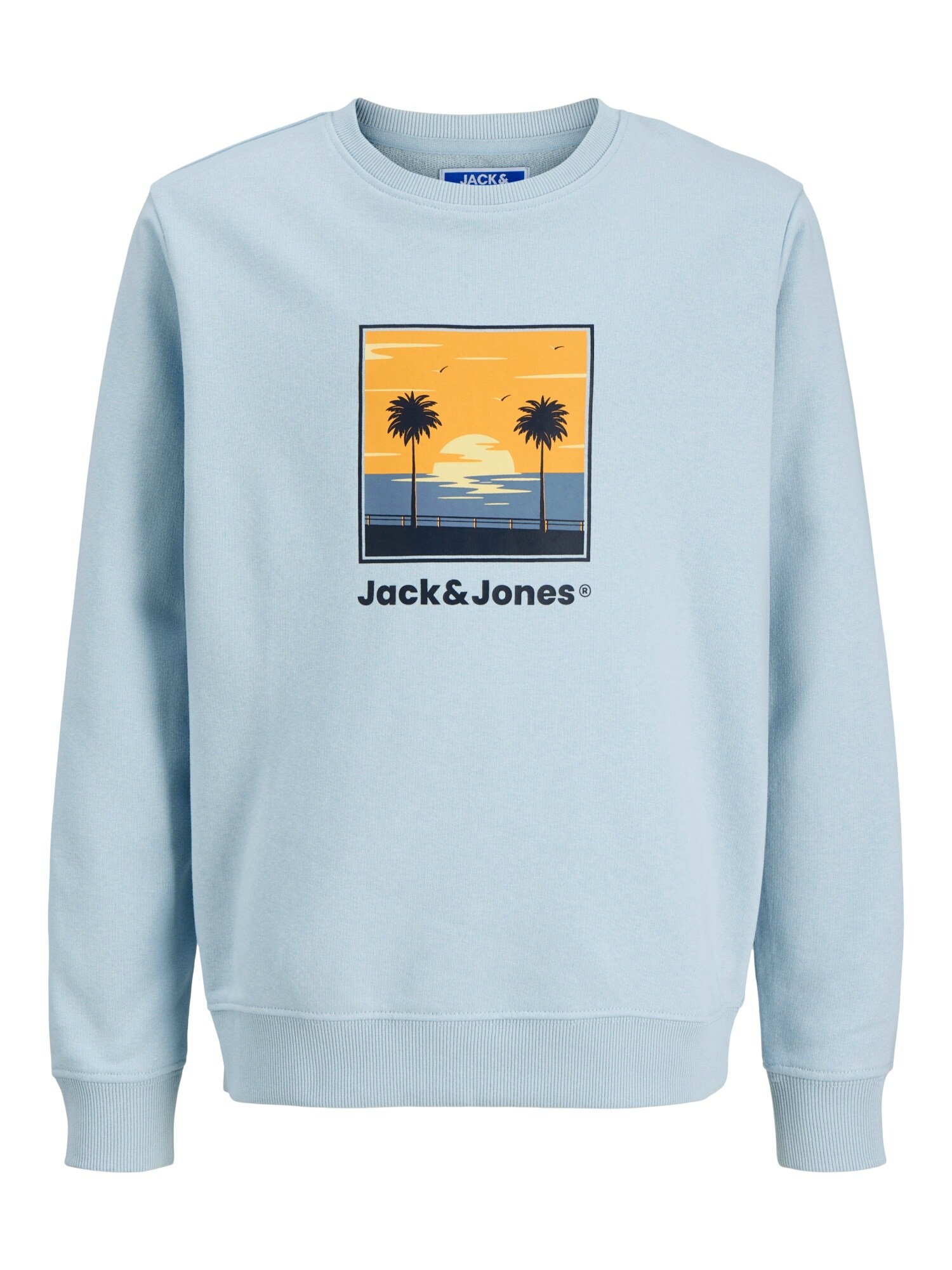 Jack & Jones Junior Pullover PERRY Sweatshirt 