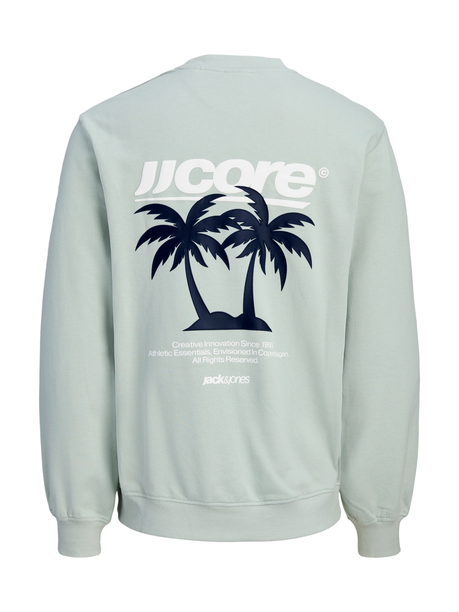 Jack & Jones Junior Pullover CLUB SUMMER Sweatshirt 