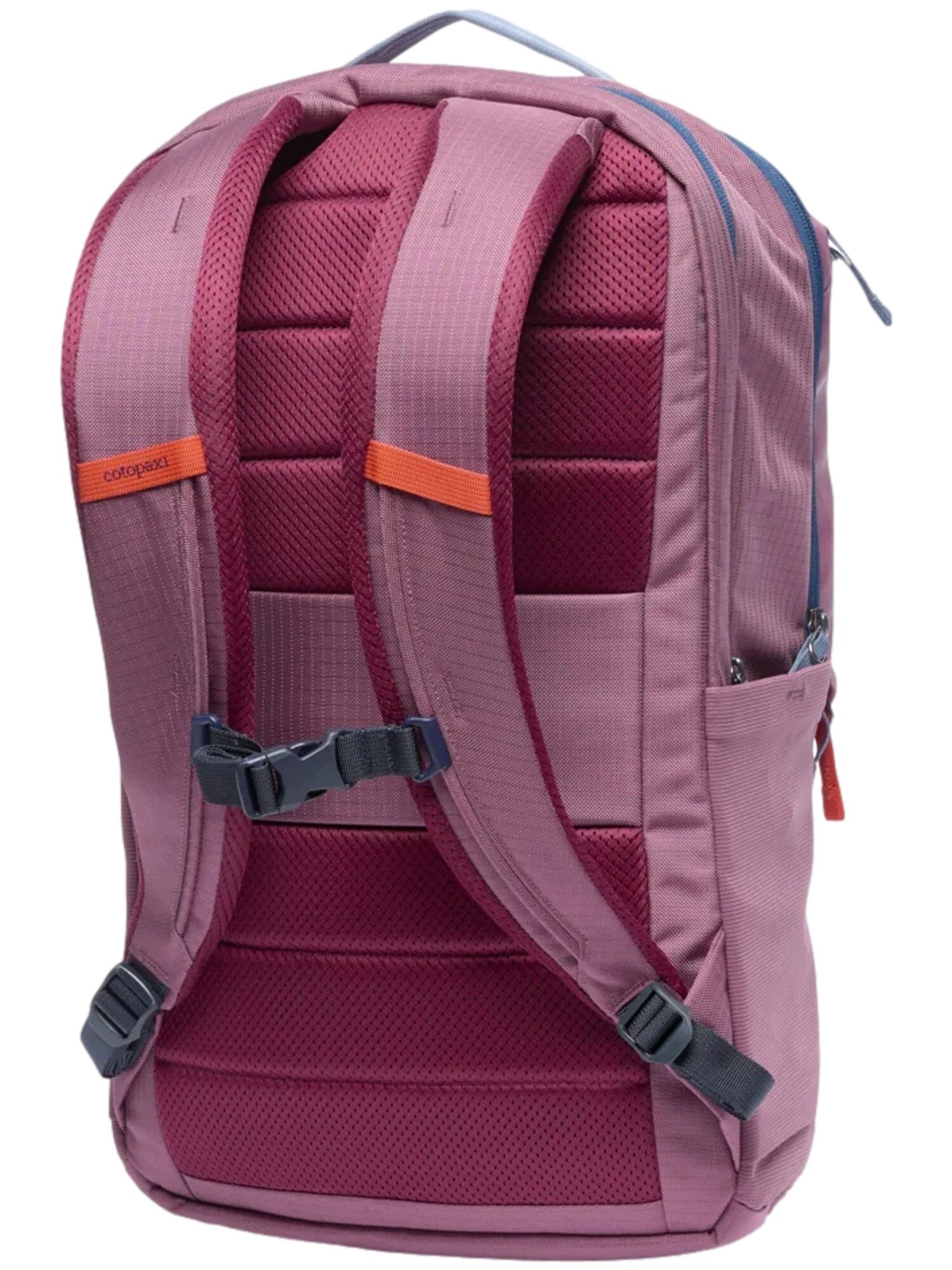 Cotopaxi Rucksack Allpa 26L Daypack 