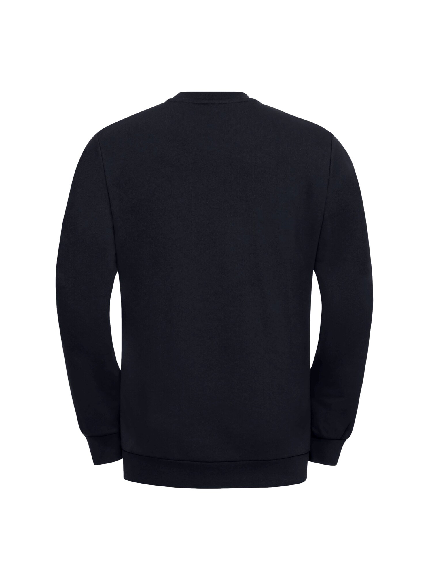 Jack Wolfskin Pullover ESSENTIAL Sweatshirt 