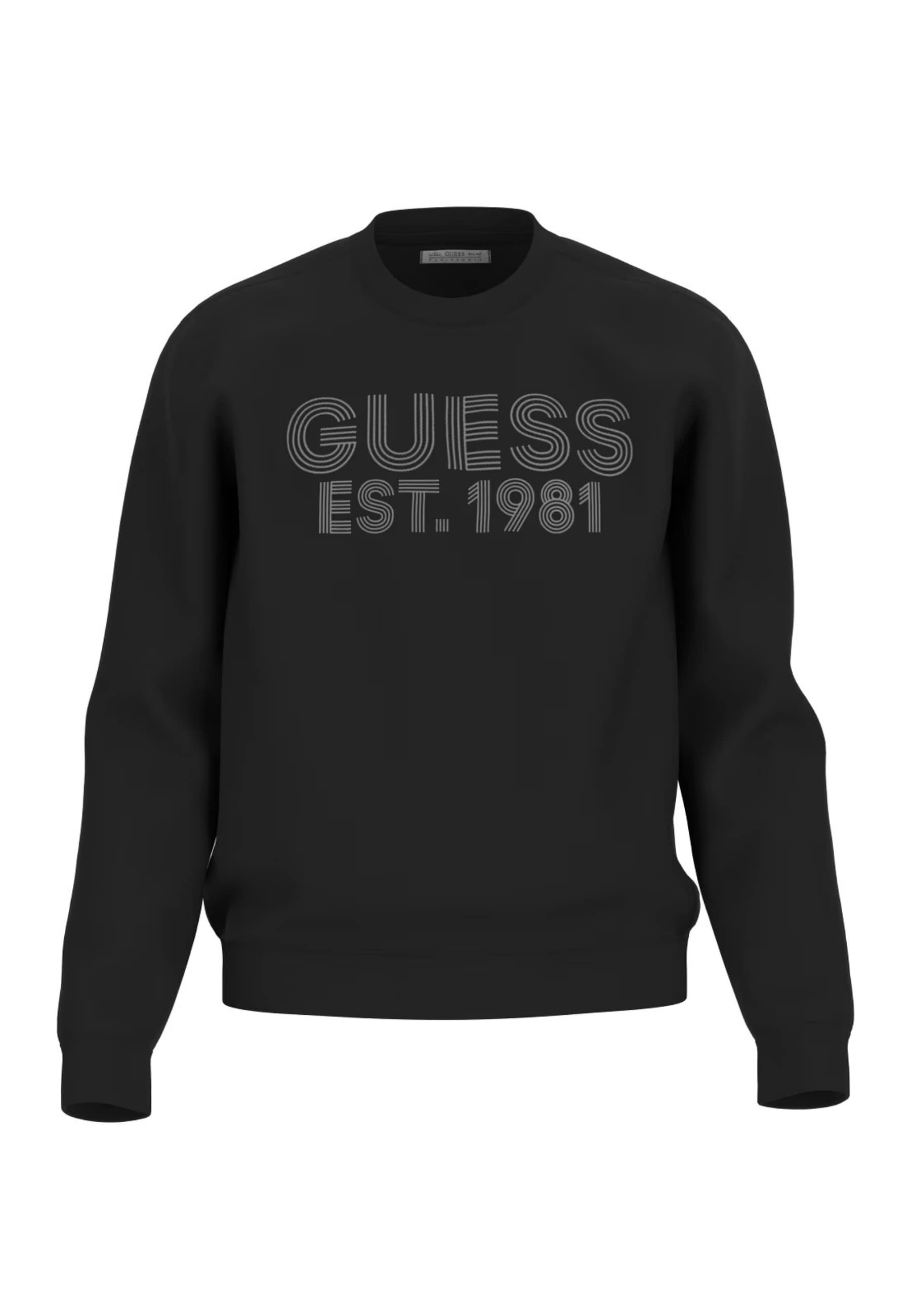 Guess Sweatshirt Pullover BEAU 