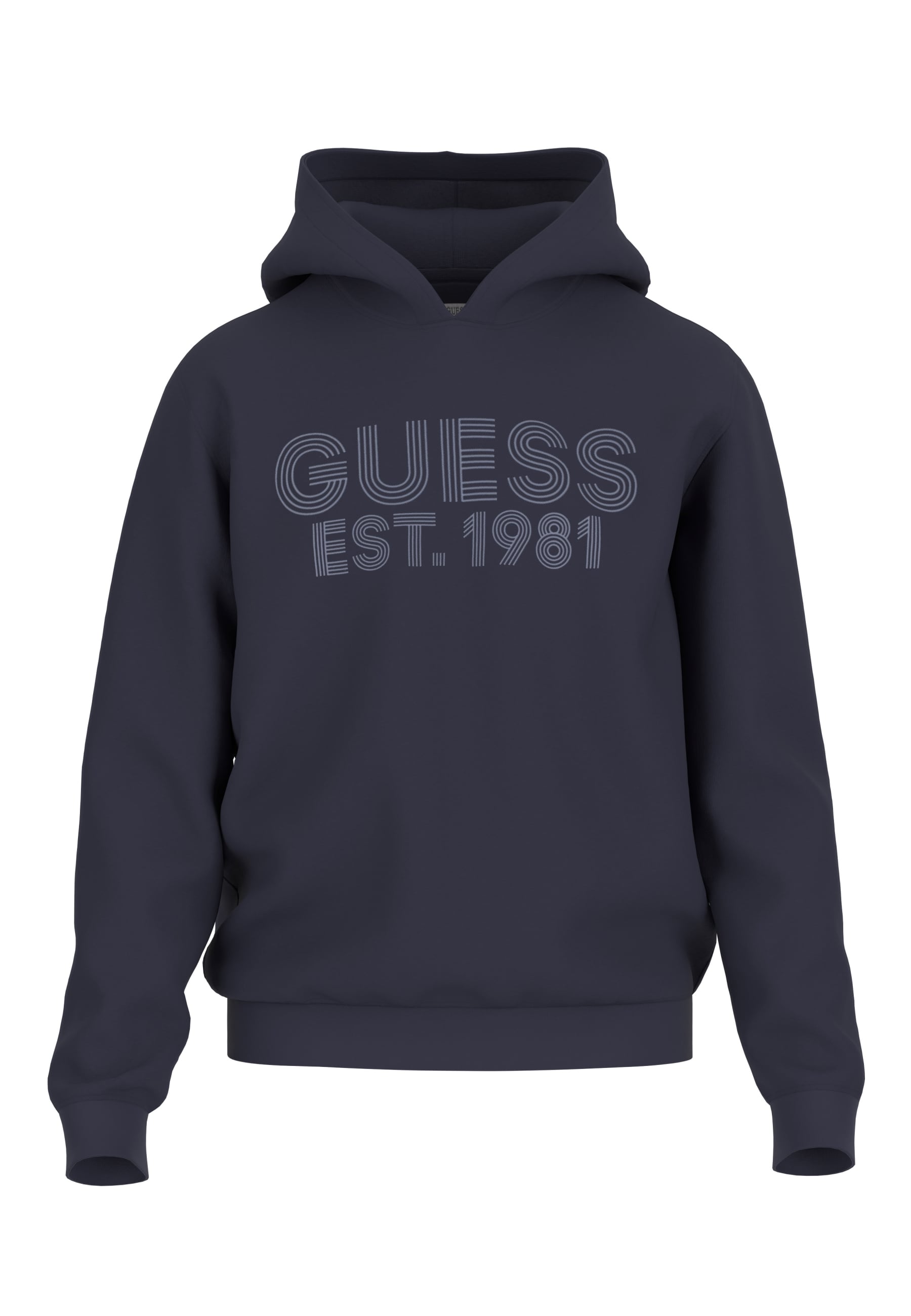 Guess Kapuzensweatshirt Hoodie BEAU 