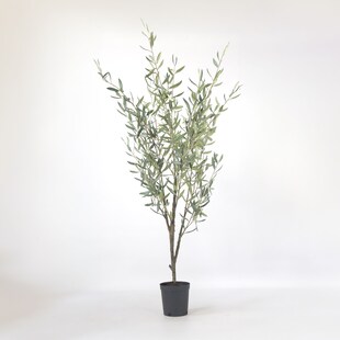 Plant in a Box - Künstlicher Olivenbaum – Höhe 150cm 