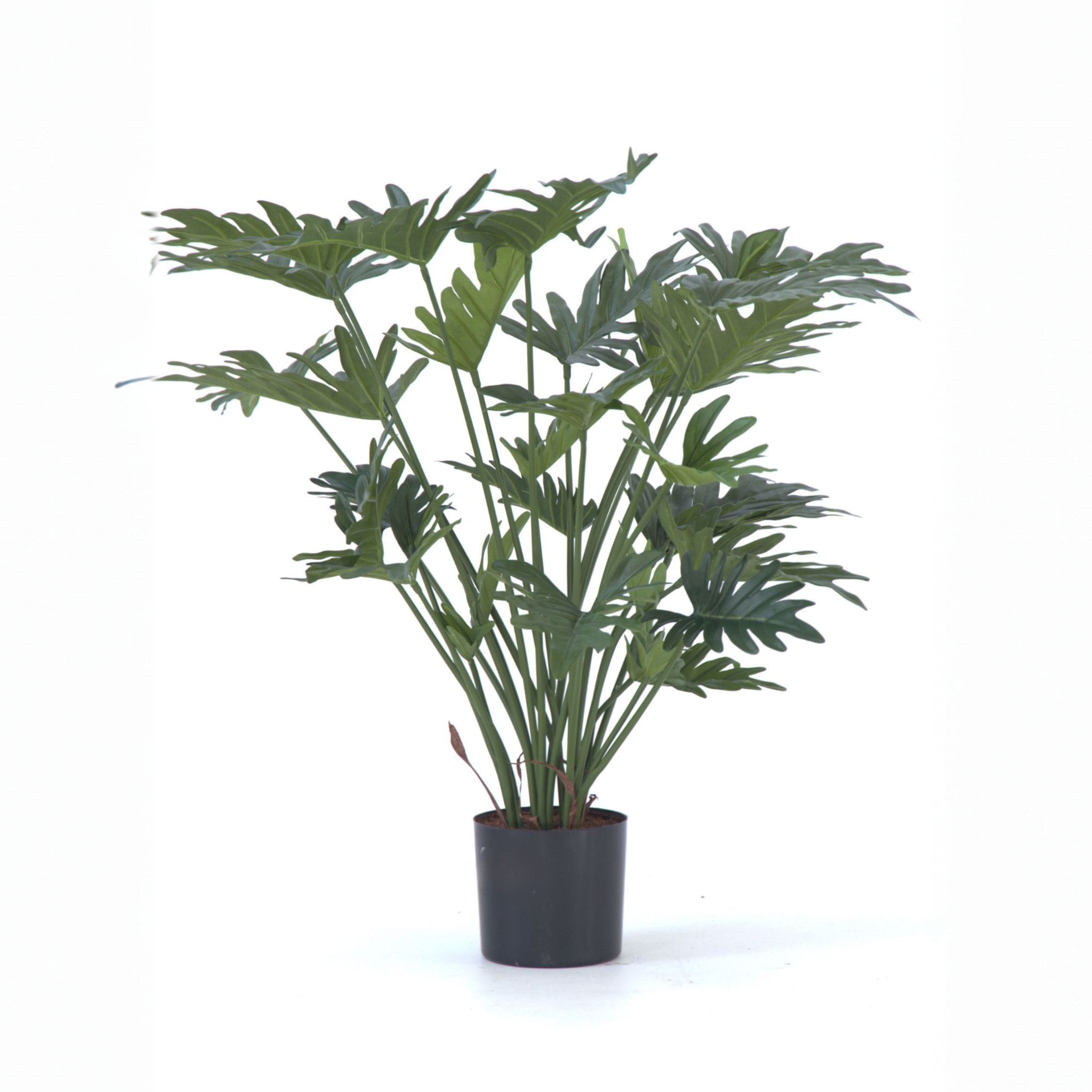 Plant in a Box - K&uuml;nstlicher Philodendron &bdquo;Selloum&ldquo; &ndash; H&ouml;he 65cm 