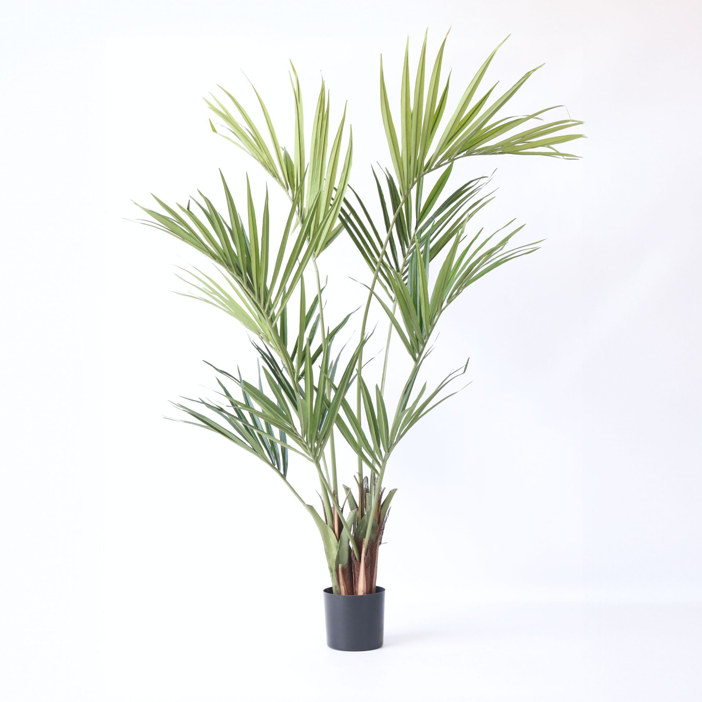 Plant in a Box - K&uuml;nstliche Kentia &ndash; H&ouml;he 150cm 