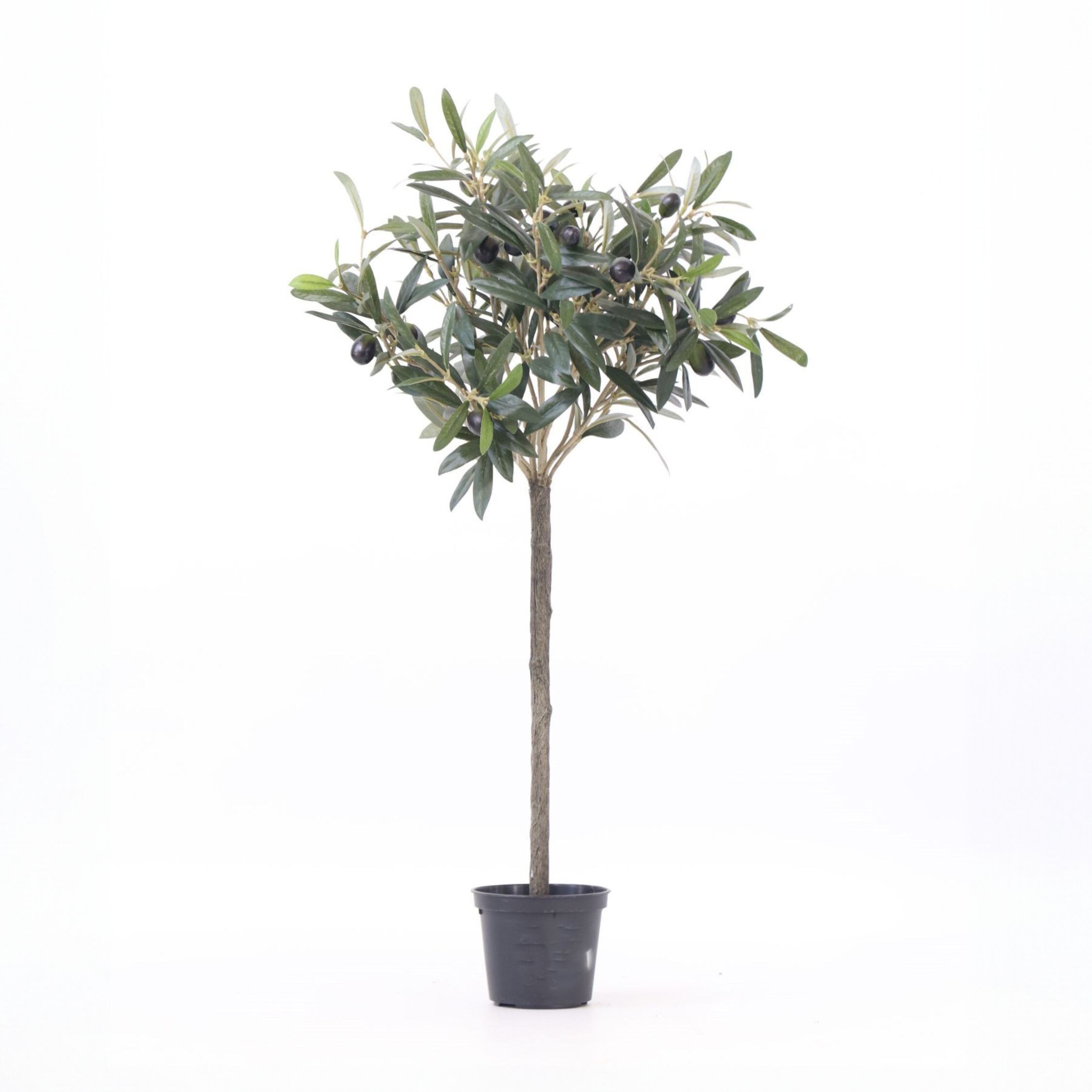 Plant in a Box - K&uuml;nstlicher Olivenbaum &ndash; H&ouml;he 65cm 