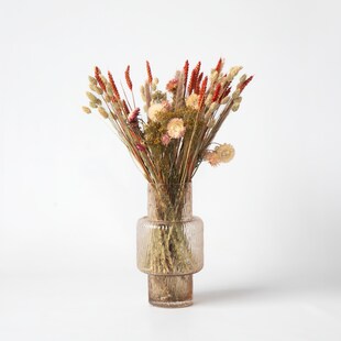 Plant in a Box - Trockenblumen 'Blooms Magic of Nature' - Natürlich getrocknete Blumen Strauß 